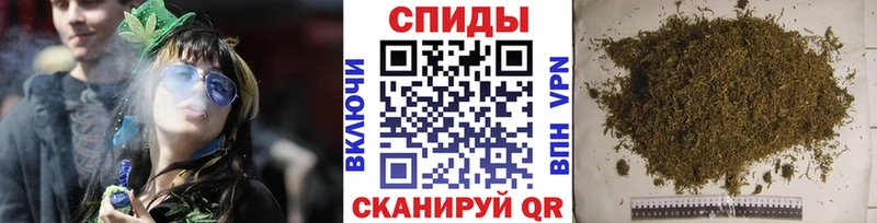 Бутират буратино  Купить где  Новоаннинский 