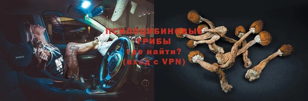 молекула духа Нефтекумск