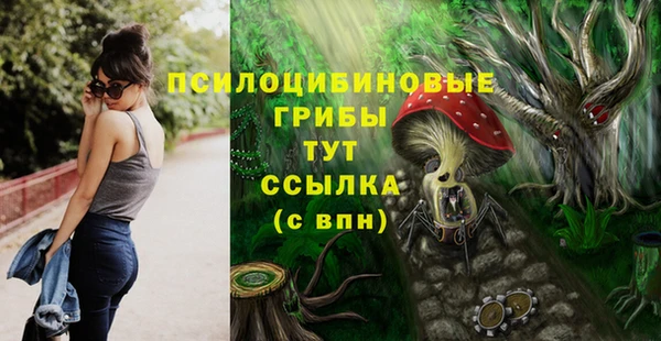 меф Нефтегорск