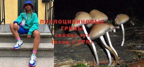 молекула духа Нефтекумск