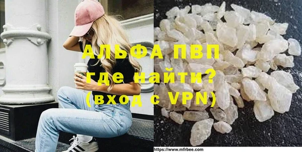 молекула духа Надым