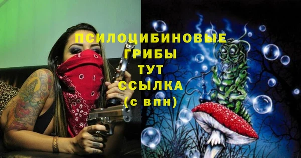 меф Нефтегорск