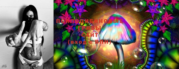 хмурый Нея