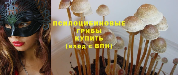 хмурый Нея