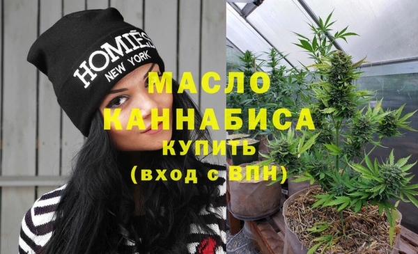 хмурый Нея